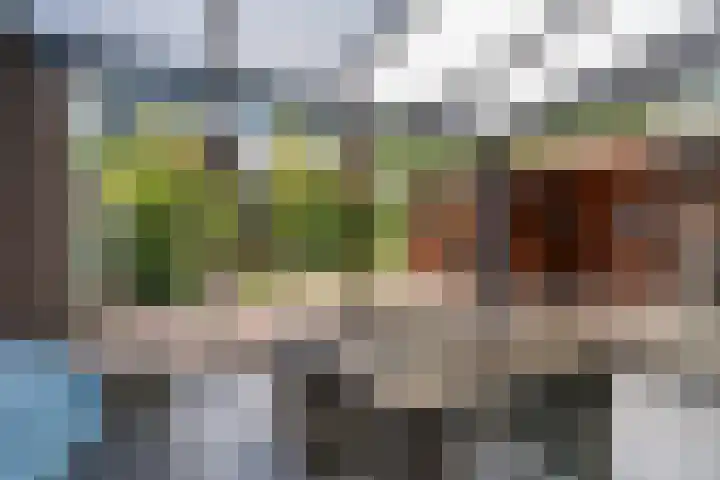 A C de Ruijter van Steveninckstraat 15 Hedel thumbnail 28