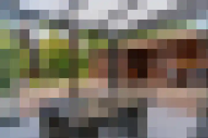 A C de Ruijter van Steveninckstraat 15 Hedel thumbnail 29