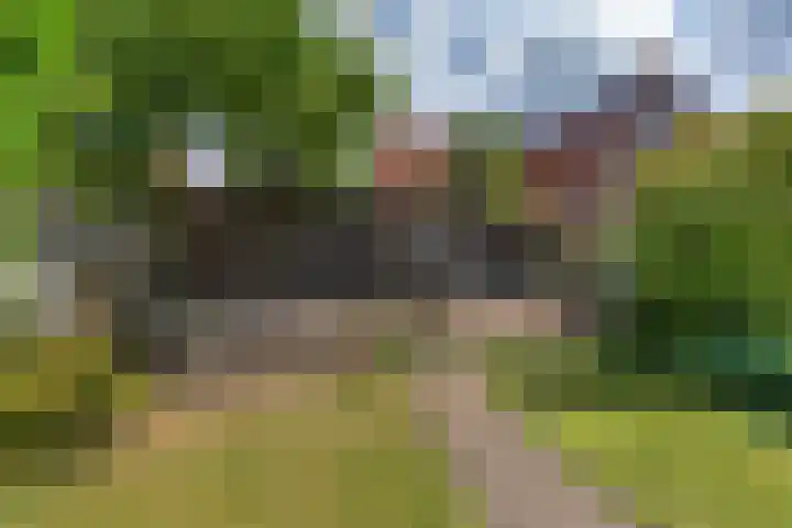 A C de Ruijter van Steveninckstraat 15 Hedel thumbnail 30