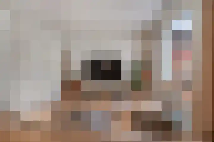A C de Ruijter van Steveninckstraat 15 Hedel thumbnail 8