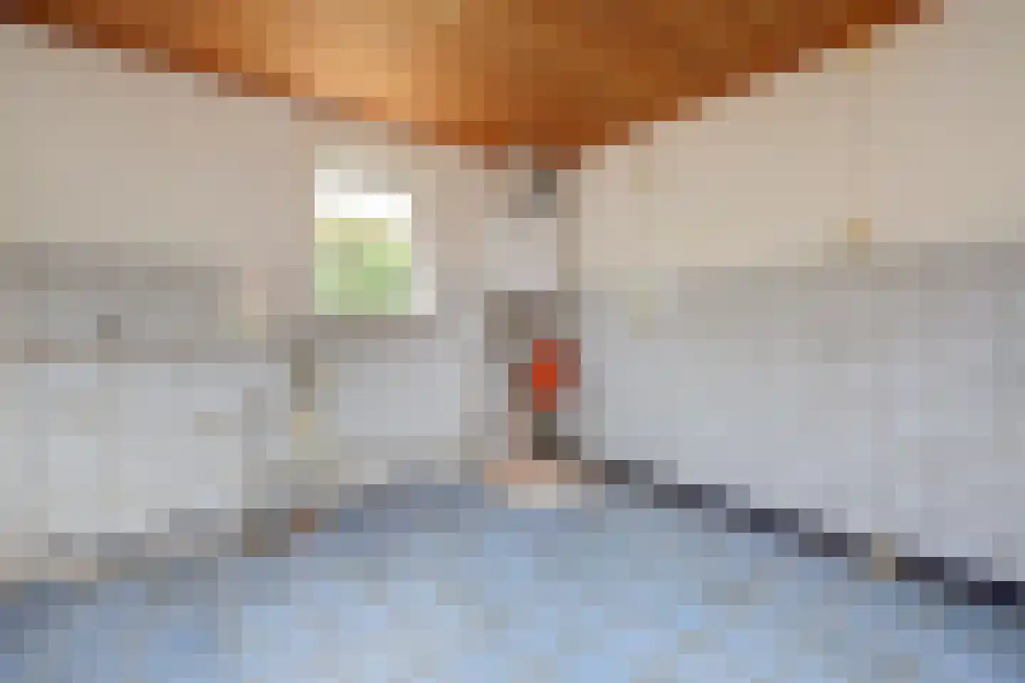 A C de Ruijter van Steveninckstraat 4 Hedel thumbnail 12