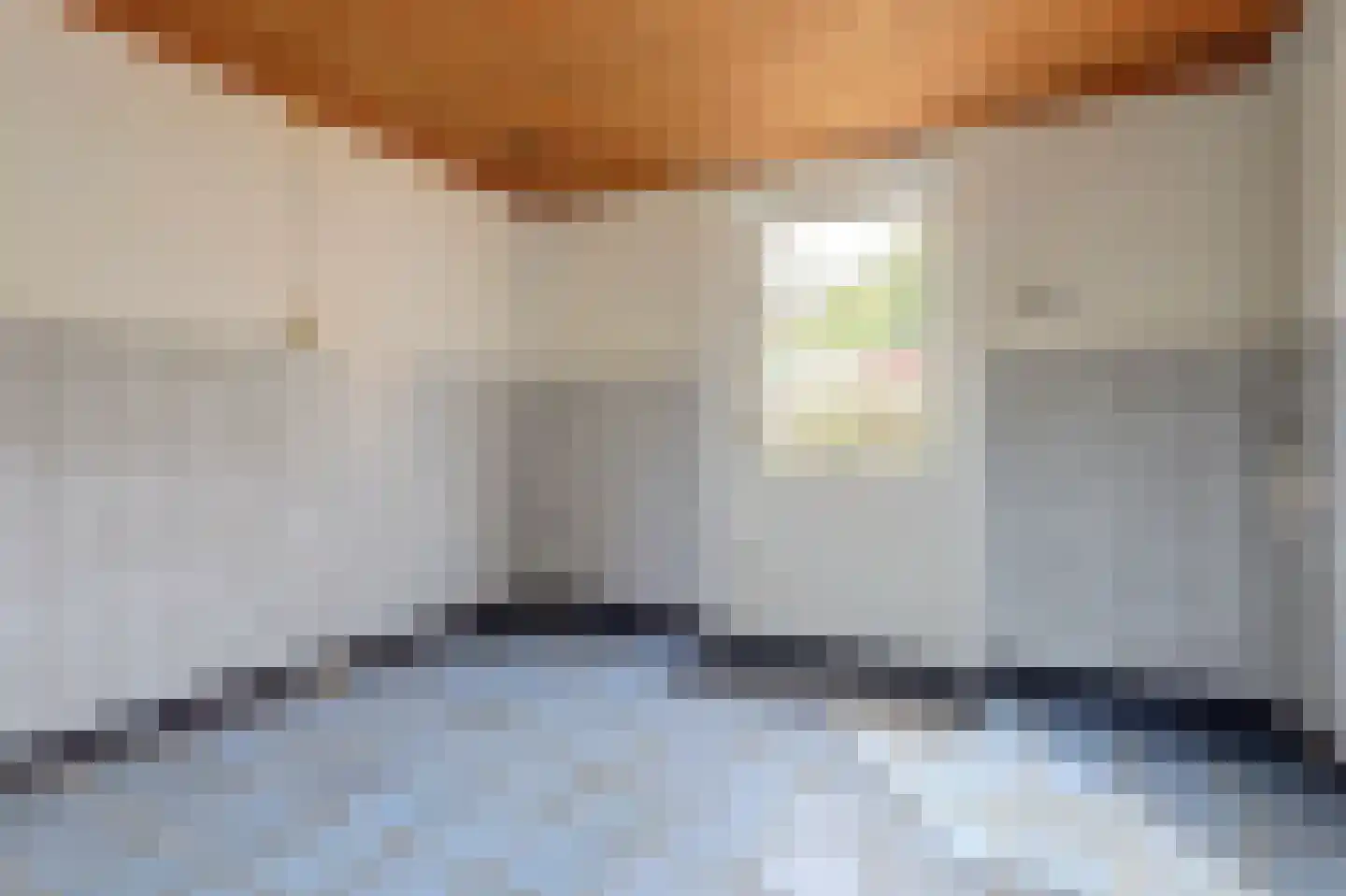 A C de Ruijter van Steveninckstraat 4 Hedel thumbnail 13