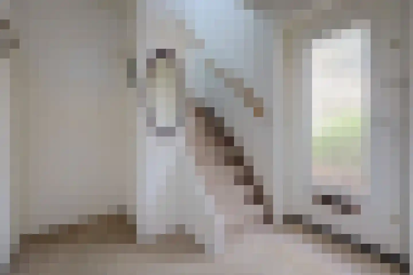 A C de Ruijter van Steveninckstraat 4 Hedel thumbnail 15