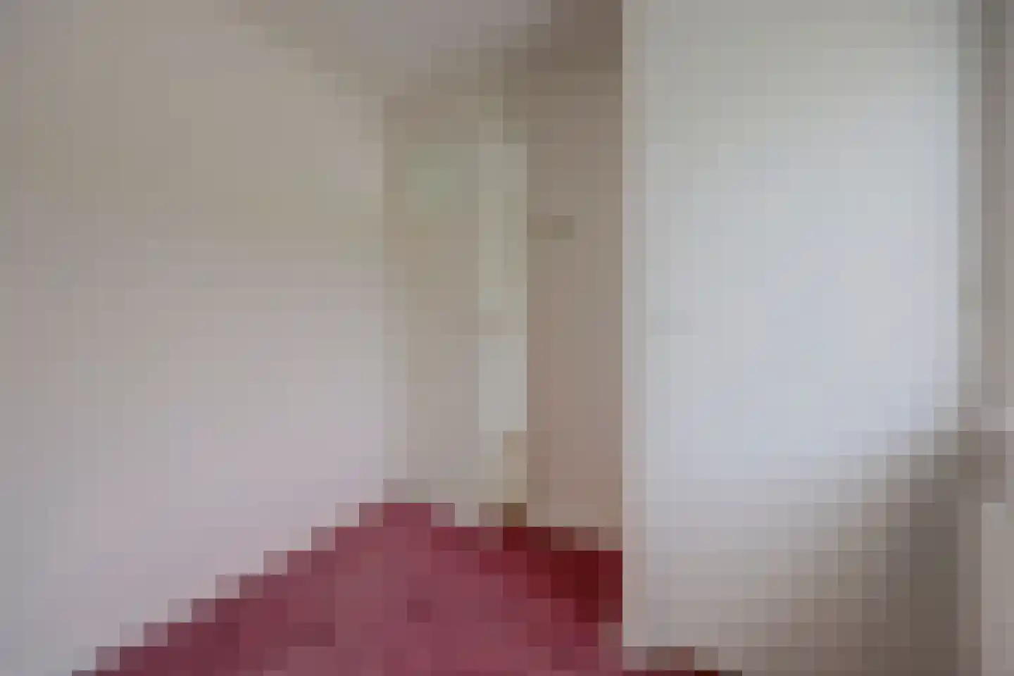 A C de Ruijter van Steveninckstraat 4 Hedel thumbnail 19
