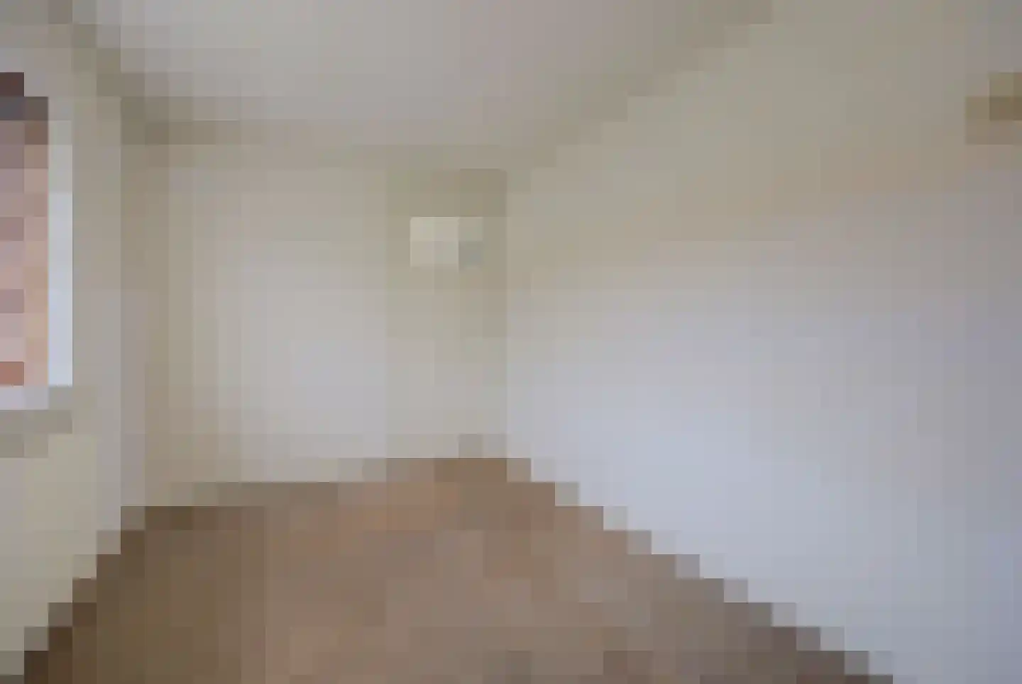 A C de Ruijter van Steveninckstraat 4 Hedel thumbnail 21