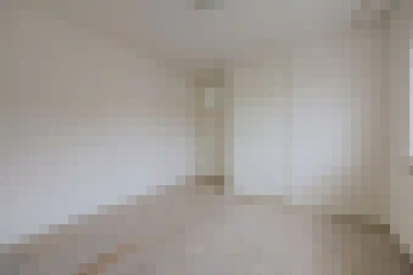 A C de Ruijter van Steveninckstraat 4 Hedel thumbnail 23