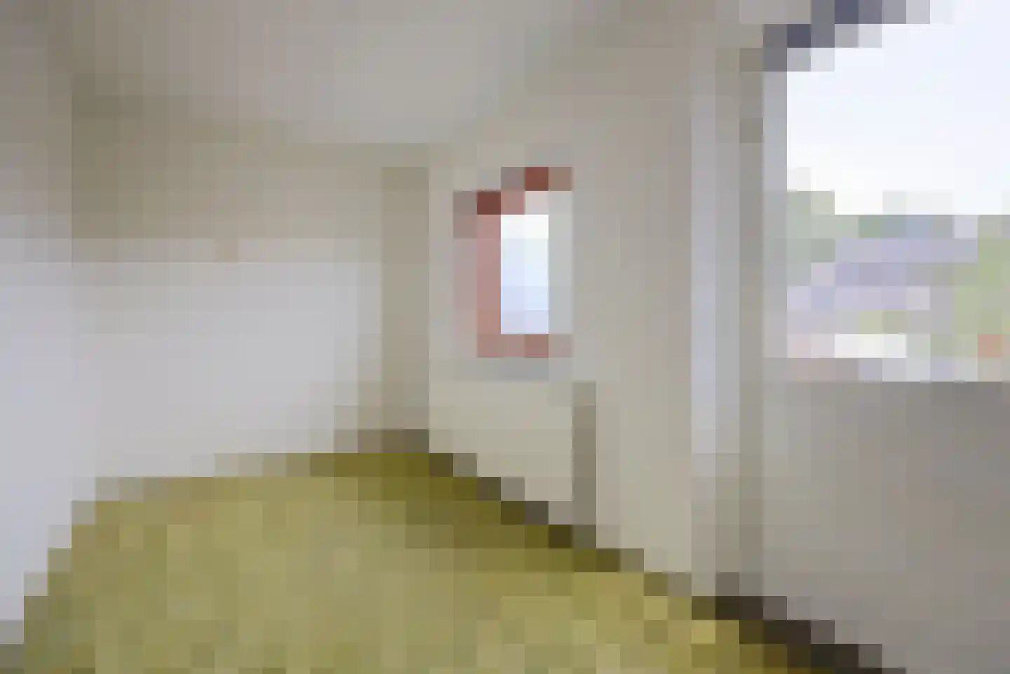 A C de Ruijter van Steveninckstraat 4 Hedel thumbnail 24
