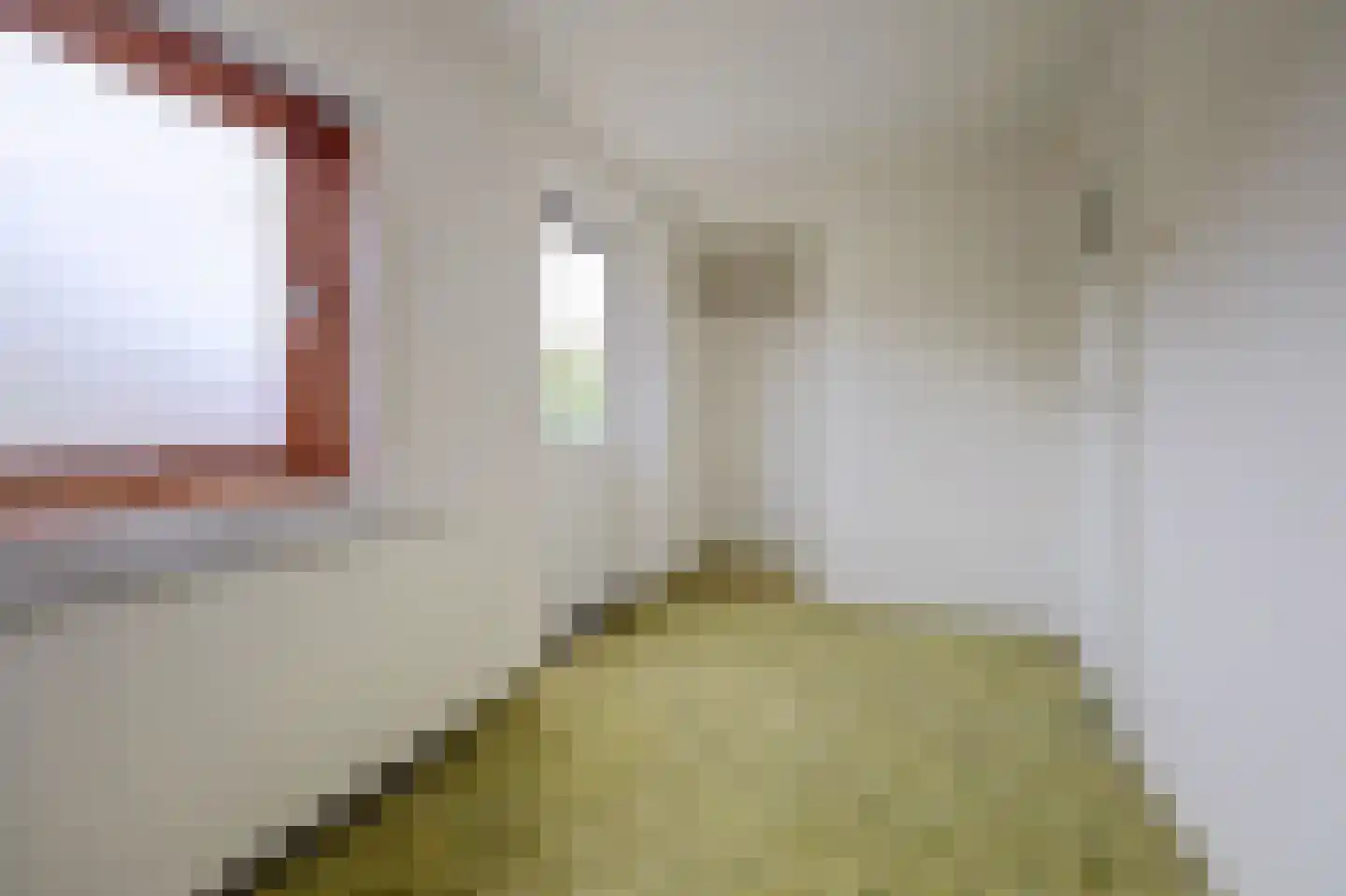 A C de Ruijter van Steveninckstraat 4 Hedel thumbnail 25