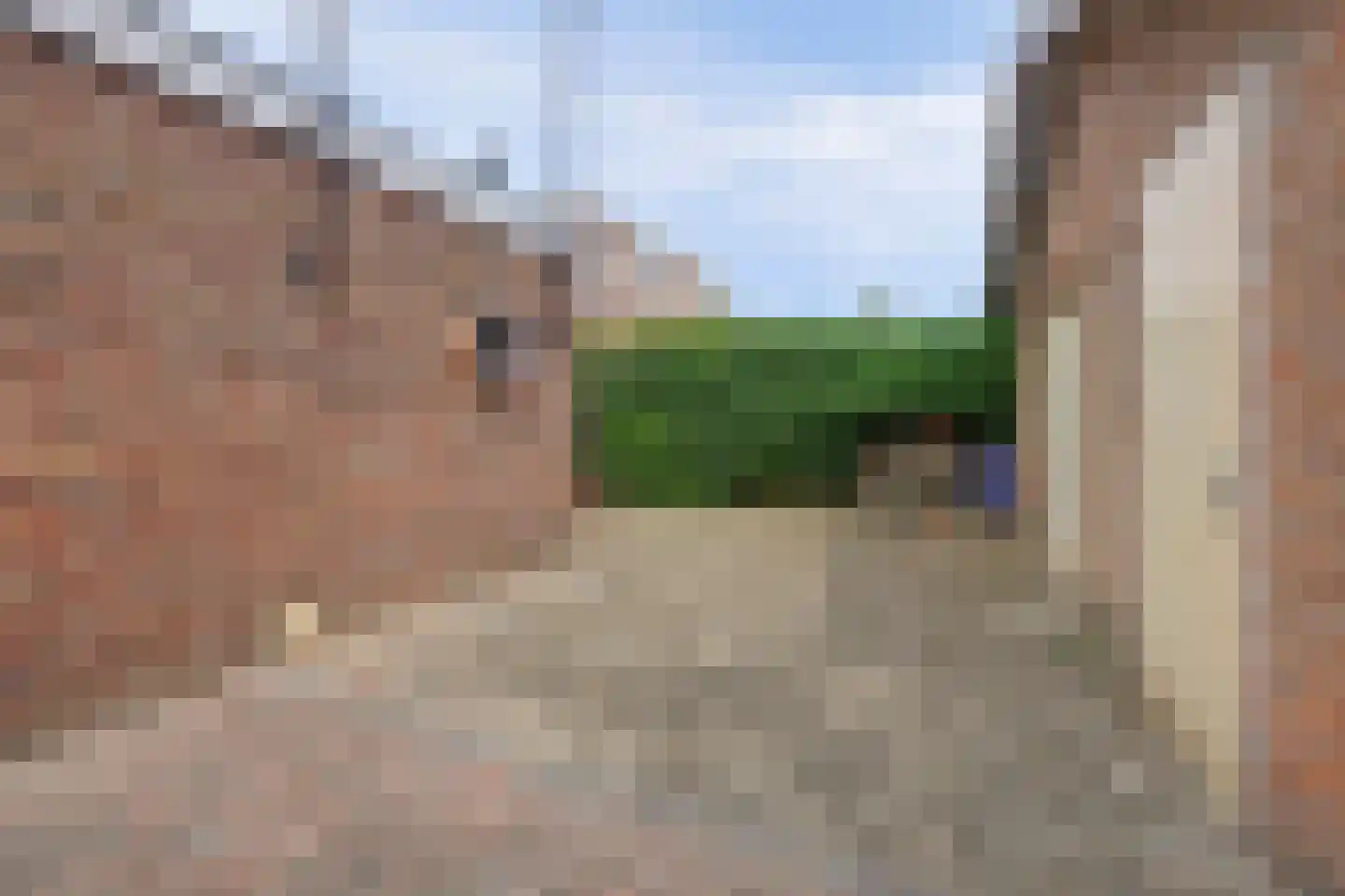 A C de Ruijter van Steveninckstraat 4 Hedel thumbnail 31