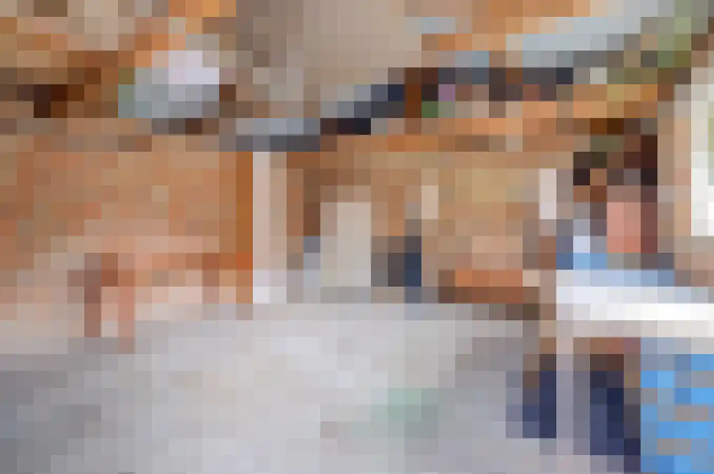 A C de Ruijter van Steveninckstraat 4 Hedel thumbnail 33