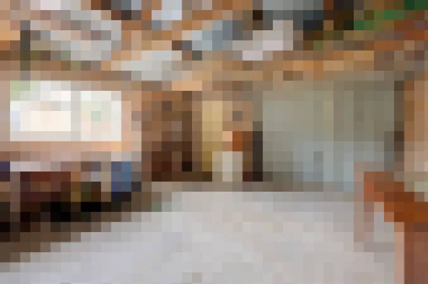 A C de Ruijter van Steveninckstraat 4 Hedel thumbnail 34