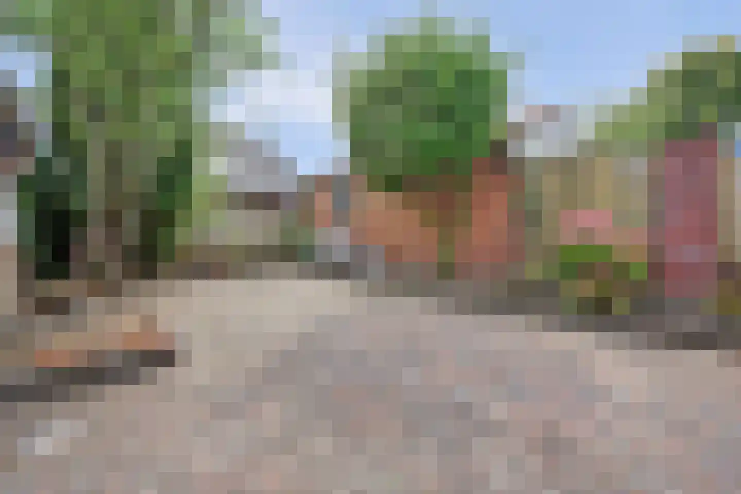 A C de Ruijter van Steveninckstraat 4 Hedel thumbnail 35