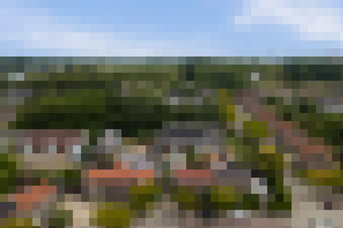 A C de Ruijter van Steveninckstraat 4 Hedel thumbnail 38