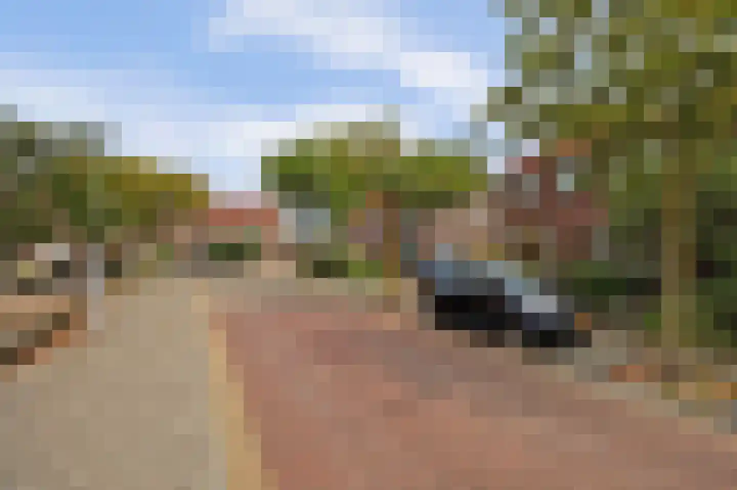A C de Ruijter van Steveninckstraat 4 Hedel thumbnail 40