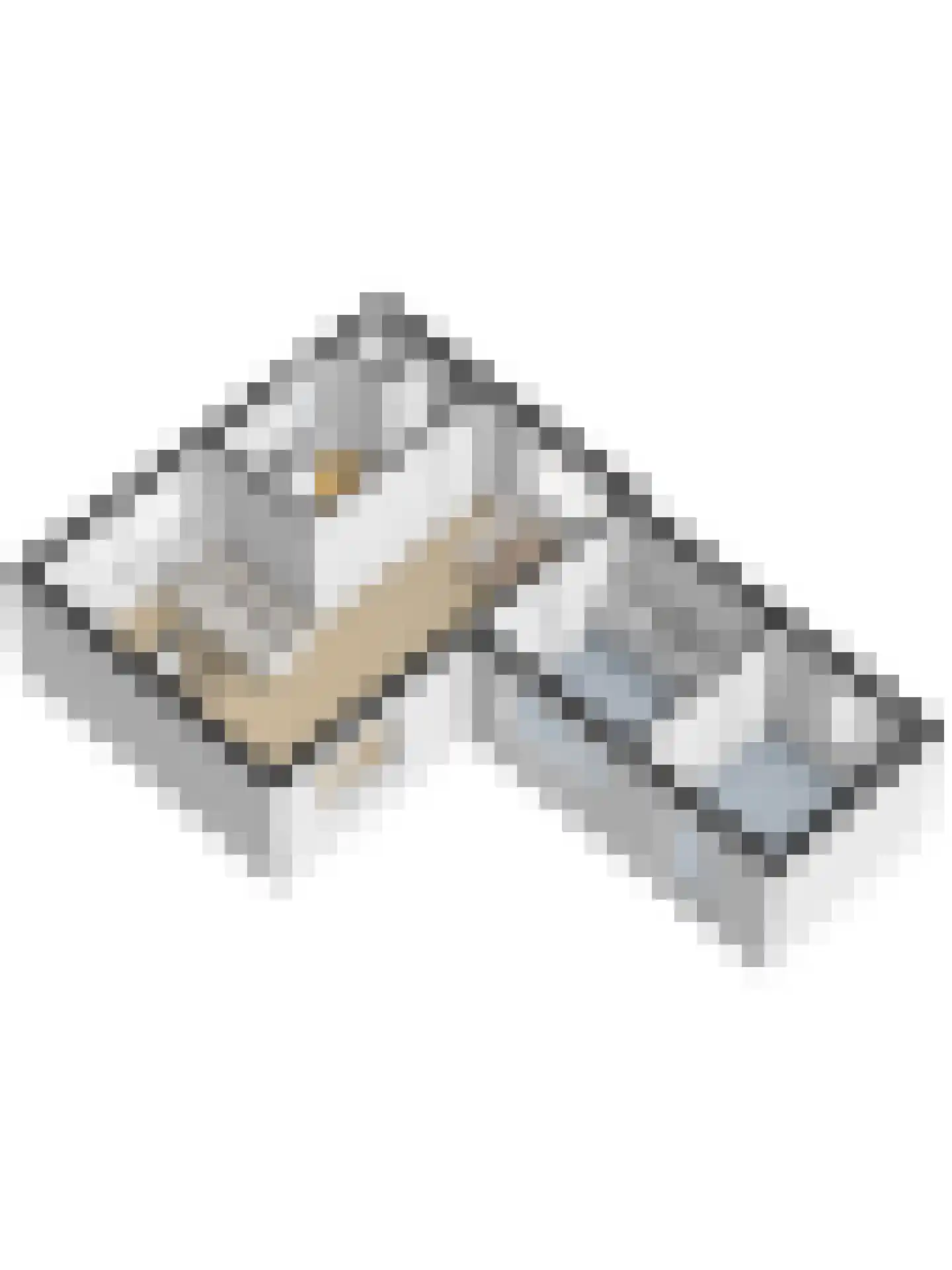A C de Ruijter van Steveninckstraat 4 Hedel thumbnail 41