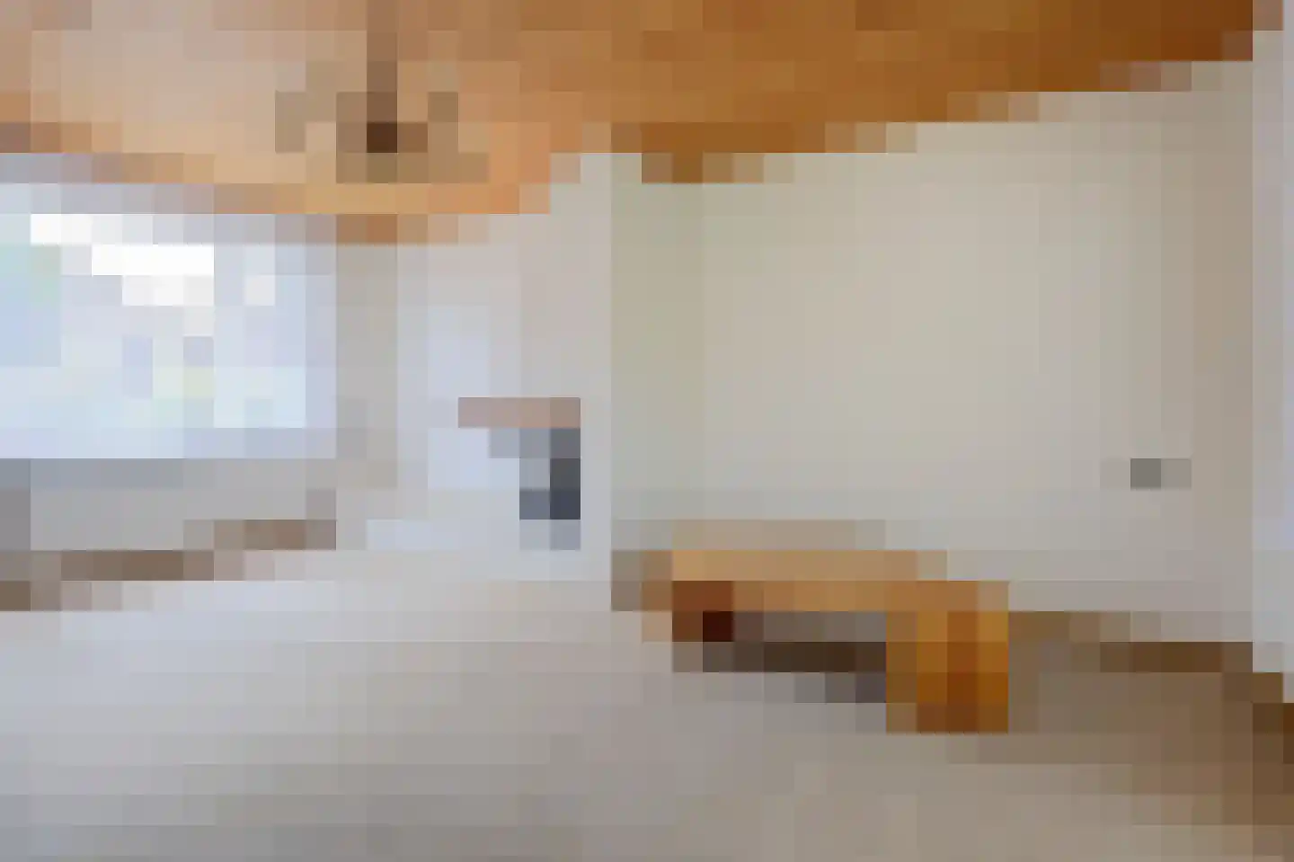 A C de Ruijter van Steveninckstraat 4 Hedel thumbnail 5