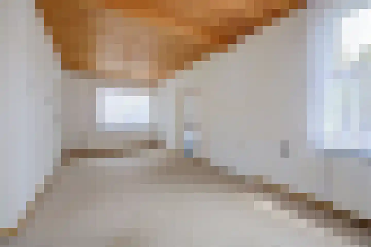 A C de Ruijter van Steveninckstraat 4 Hedel thumbnail 6