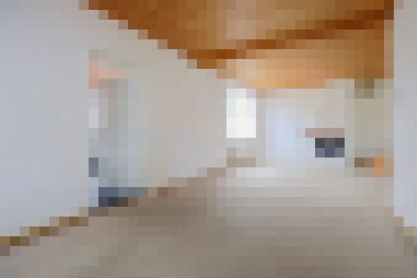 A C de Ruijter van Steveninckstraat 4 Hedel thumbnail 7