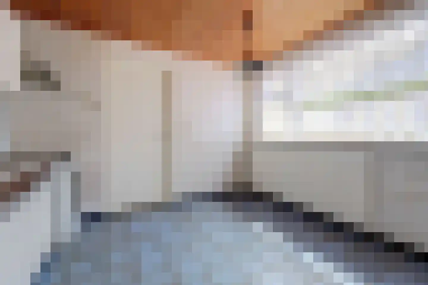 A C de Ruijter van Steveninckstraat 4 Hedel thumbnail 9