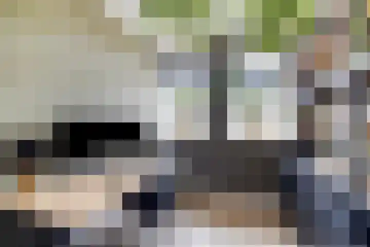 A. Commandeurlaan 17 Spanbroek thumbnail 10