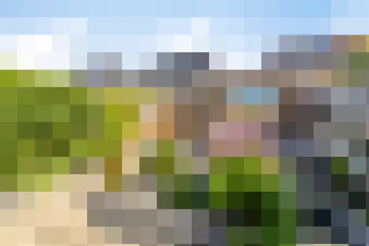 A. Commandeurlaan 17 Spanbroek thumbnail 16