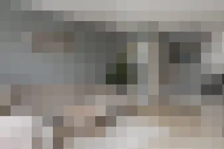 A. Commandeurlaan 41 Spanbroek thumbnail 8