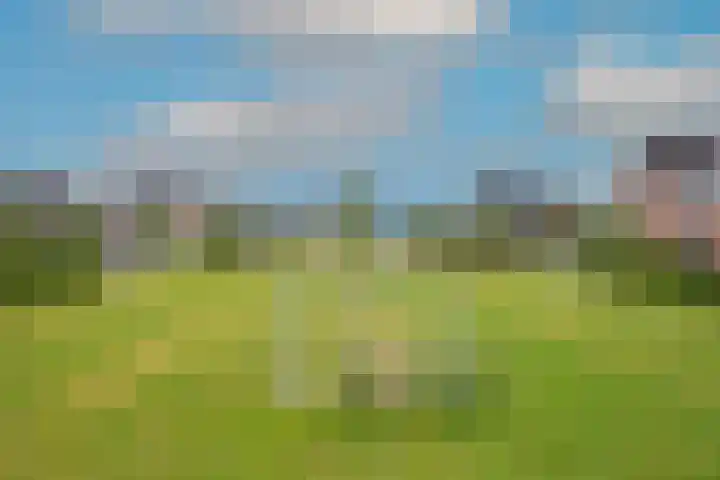 A. Commandeurlaan 58 Spanbroek thumbnail 37