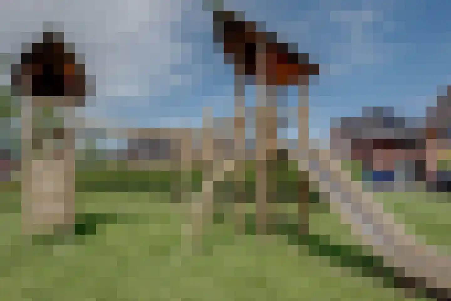 A. Commandeurlaan 64 Spanbroek thumbnail 55