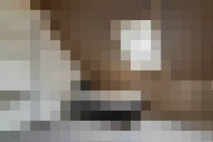 A. Commandeurlaan 89 Spanbroek thumbnail 48