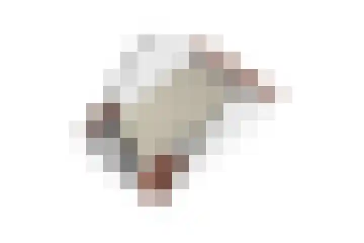 A. Commandeurlaan 89 Spanbroek thumbnail 64