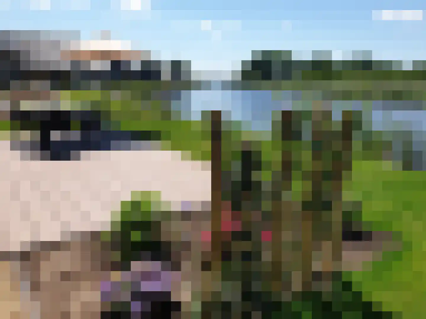 A. de Graafweg 11 Langelille thumbnail 6