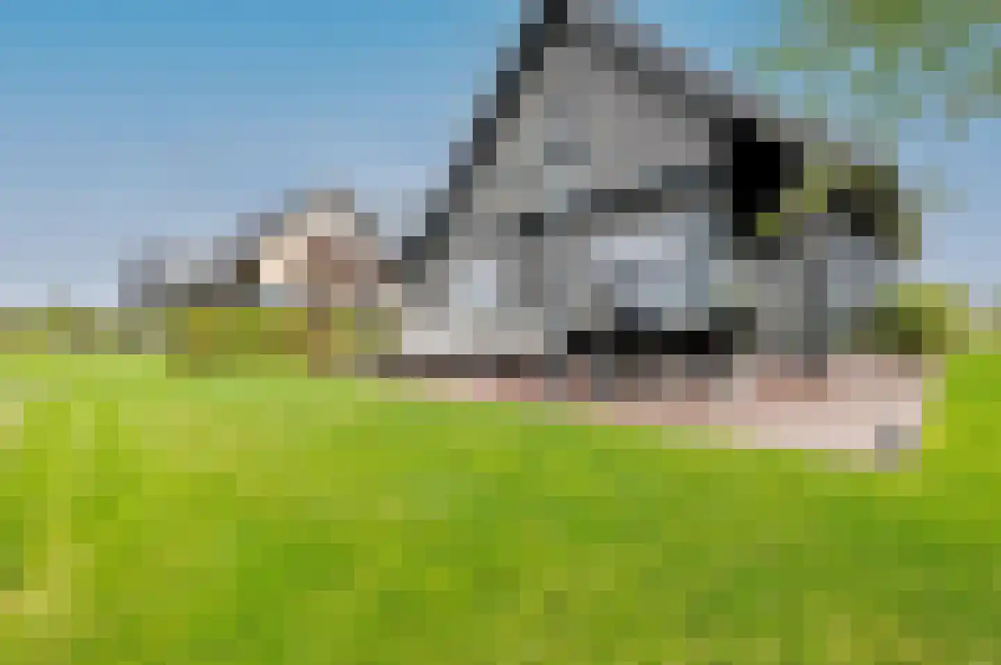 A. de Graafweg 11 Langelille thumbnail 8