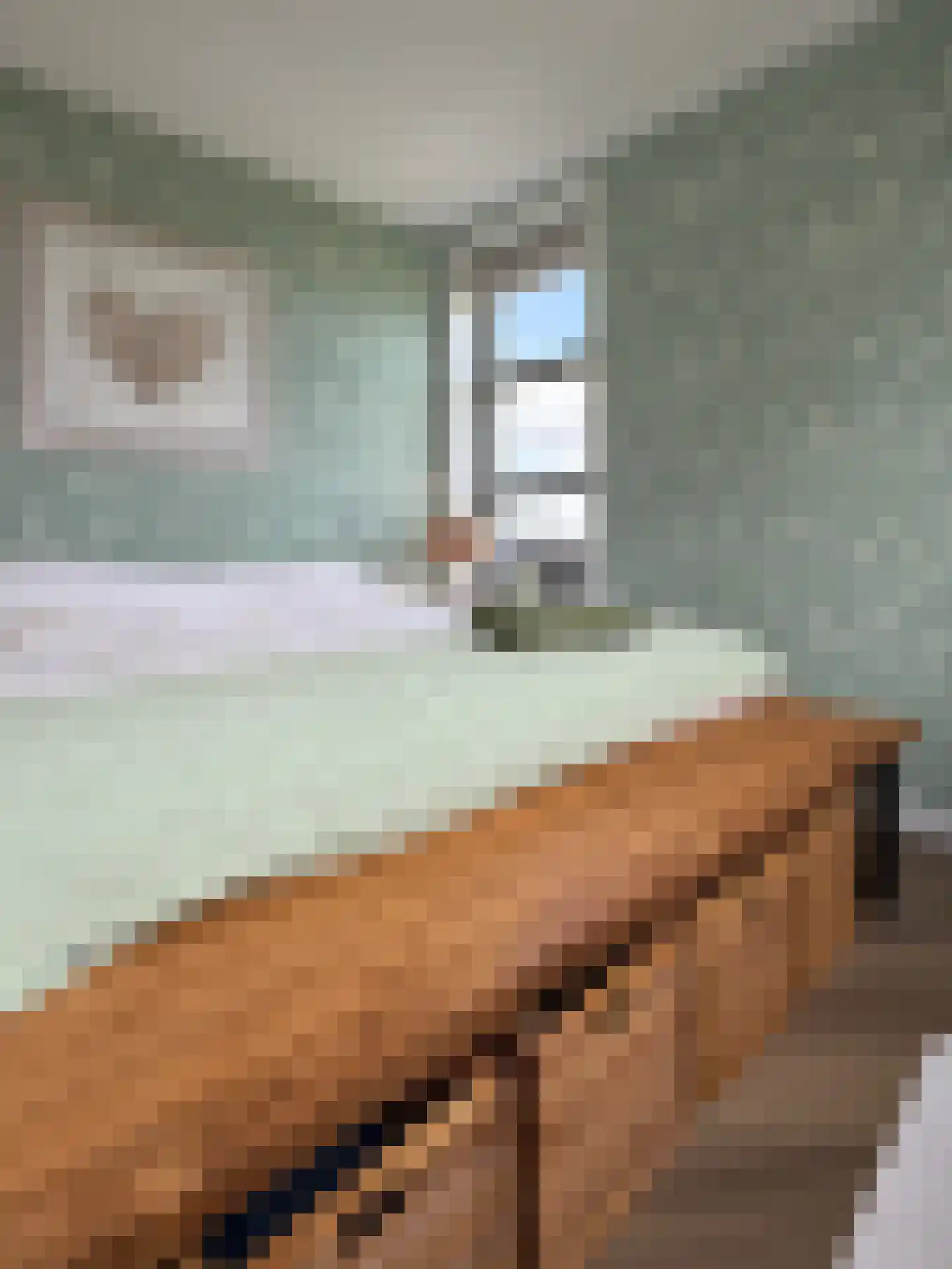 A. de Graafweg 17 Langelille thumbnail 29