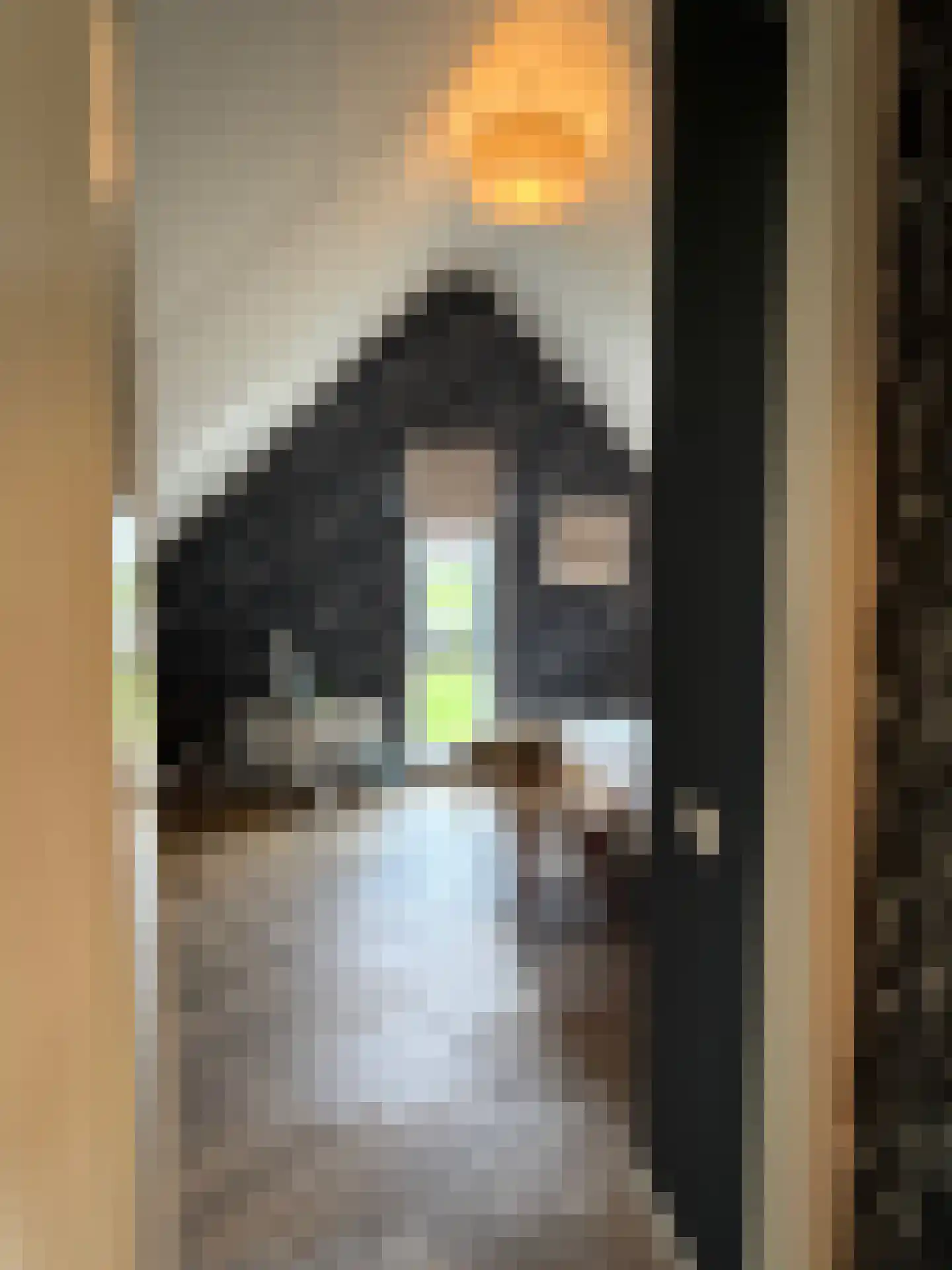 A. de Graafweg 17 Langelille thumbnail 51