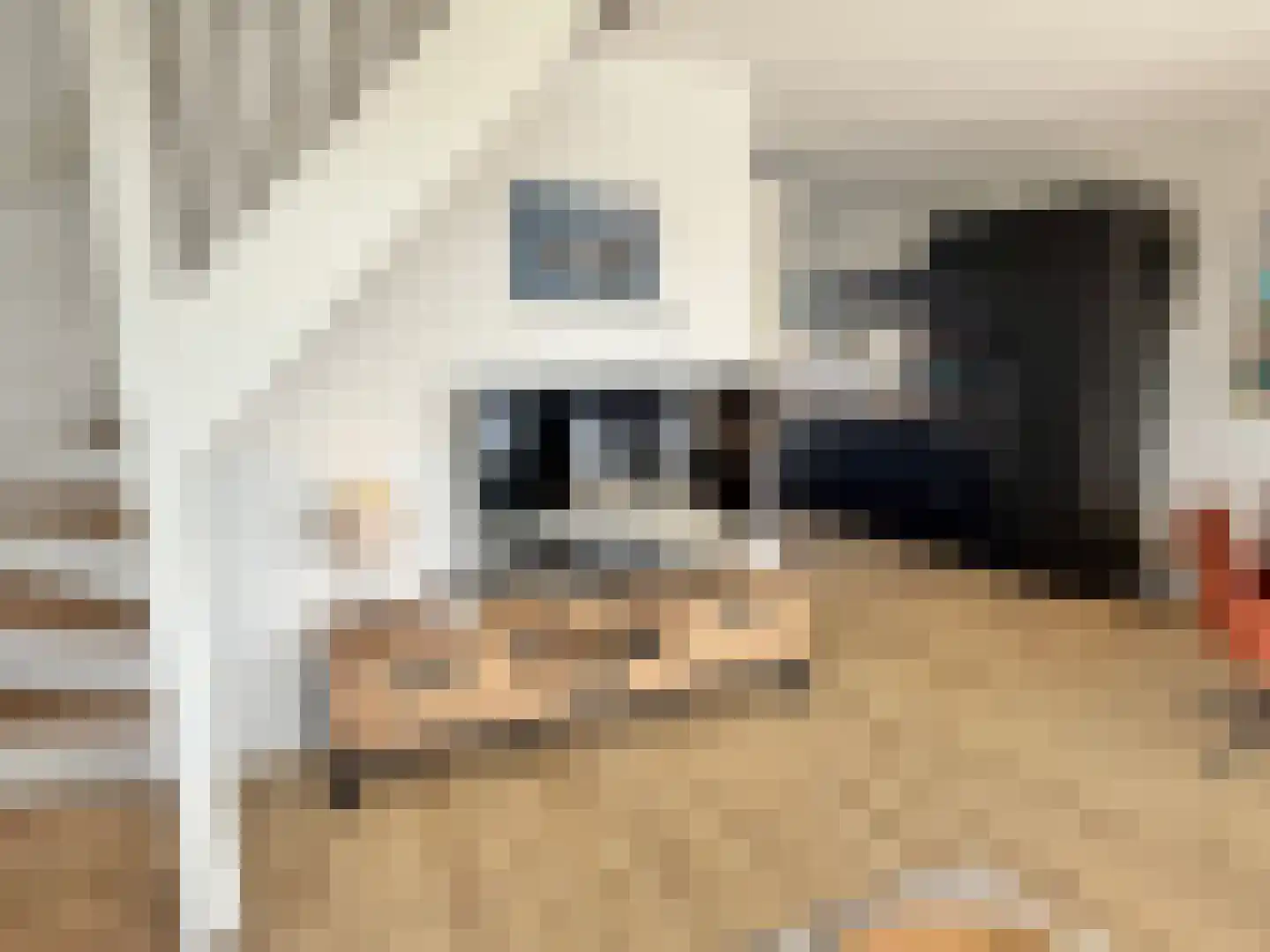A. de Graafweg 2 Langelille thumbnail 30