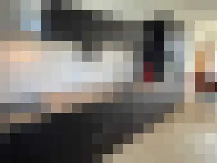A. de Graafweg 2 Langelille thumbnail 30