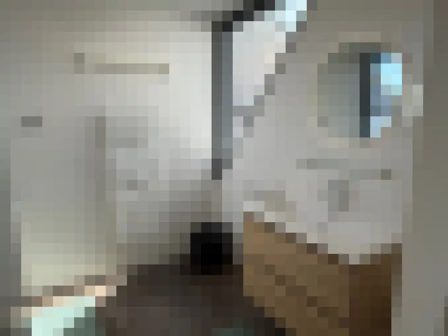 A. de Graafweg 2 Langelille thumbnail 40