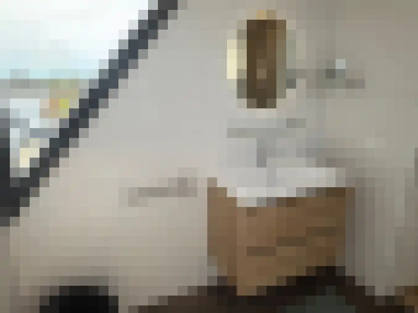 A. de Graafweg 2 Langelille thumbnail 44