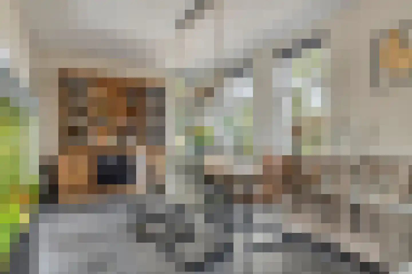 A de Koningstraat 8 Kwadendamme thumbnail 10