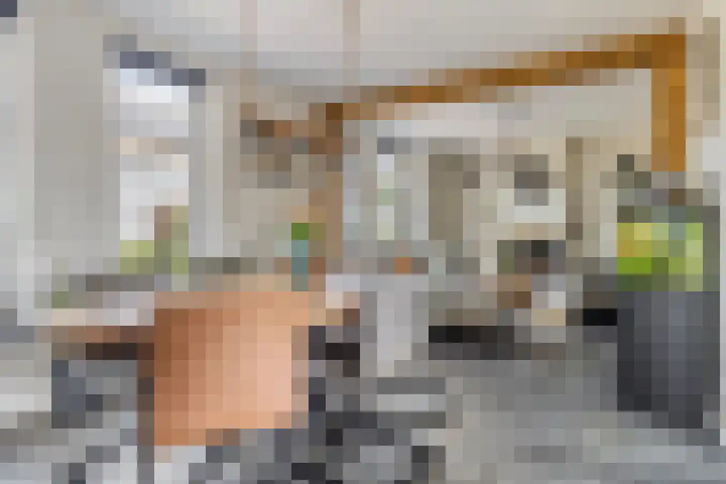 A de Koningstraat 8 Kwadendamme thumbnail 11