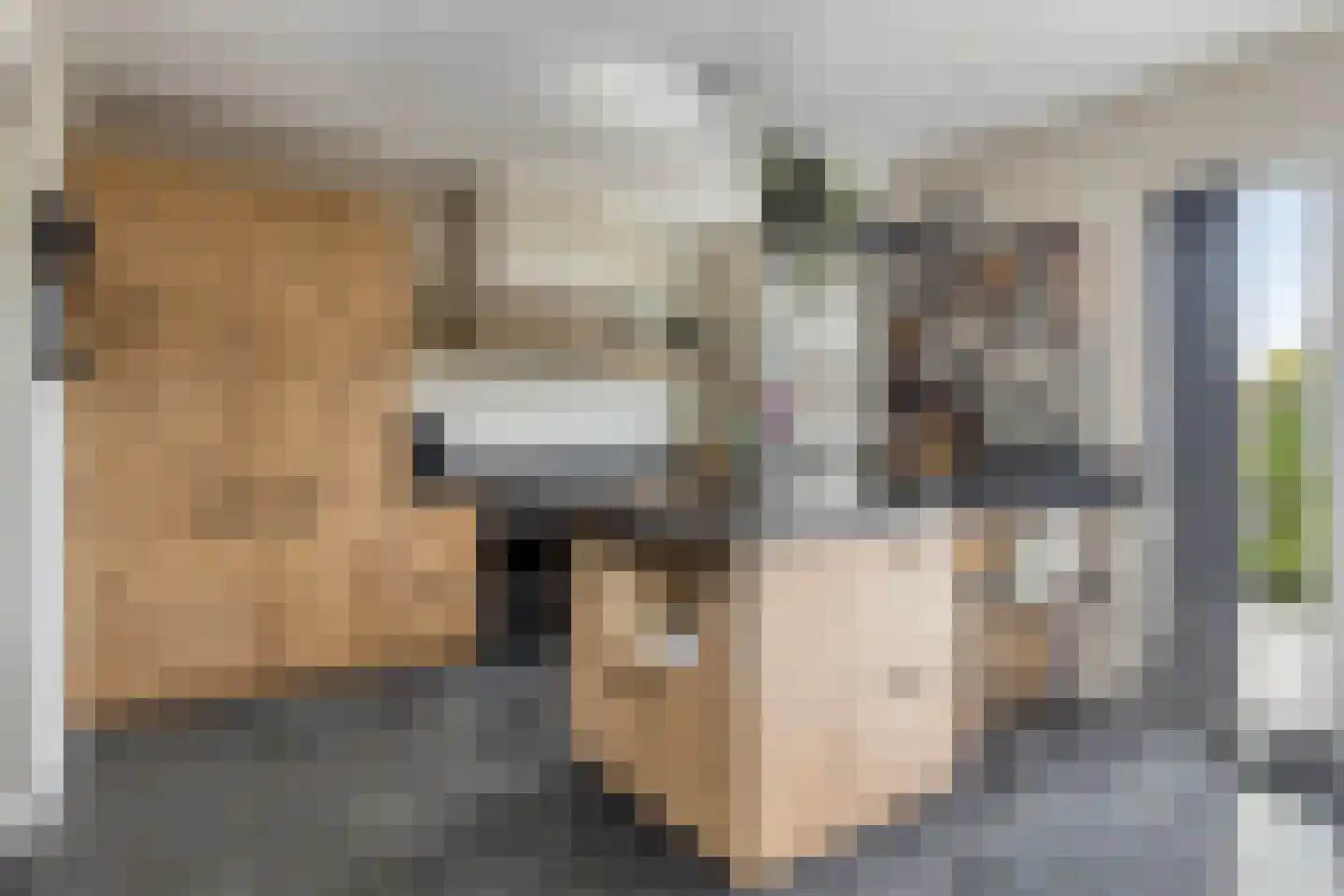 A de Koningstraat 8 Kwadendamme thumbnail 13