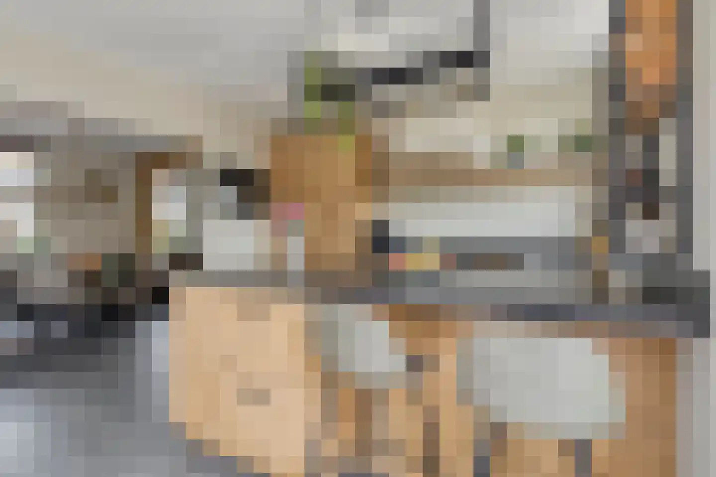 A de Koningstraat 8 Kwadendamme thumbnail 14