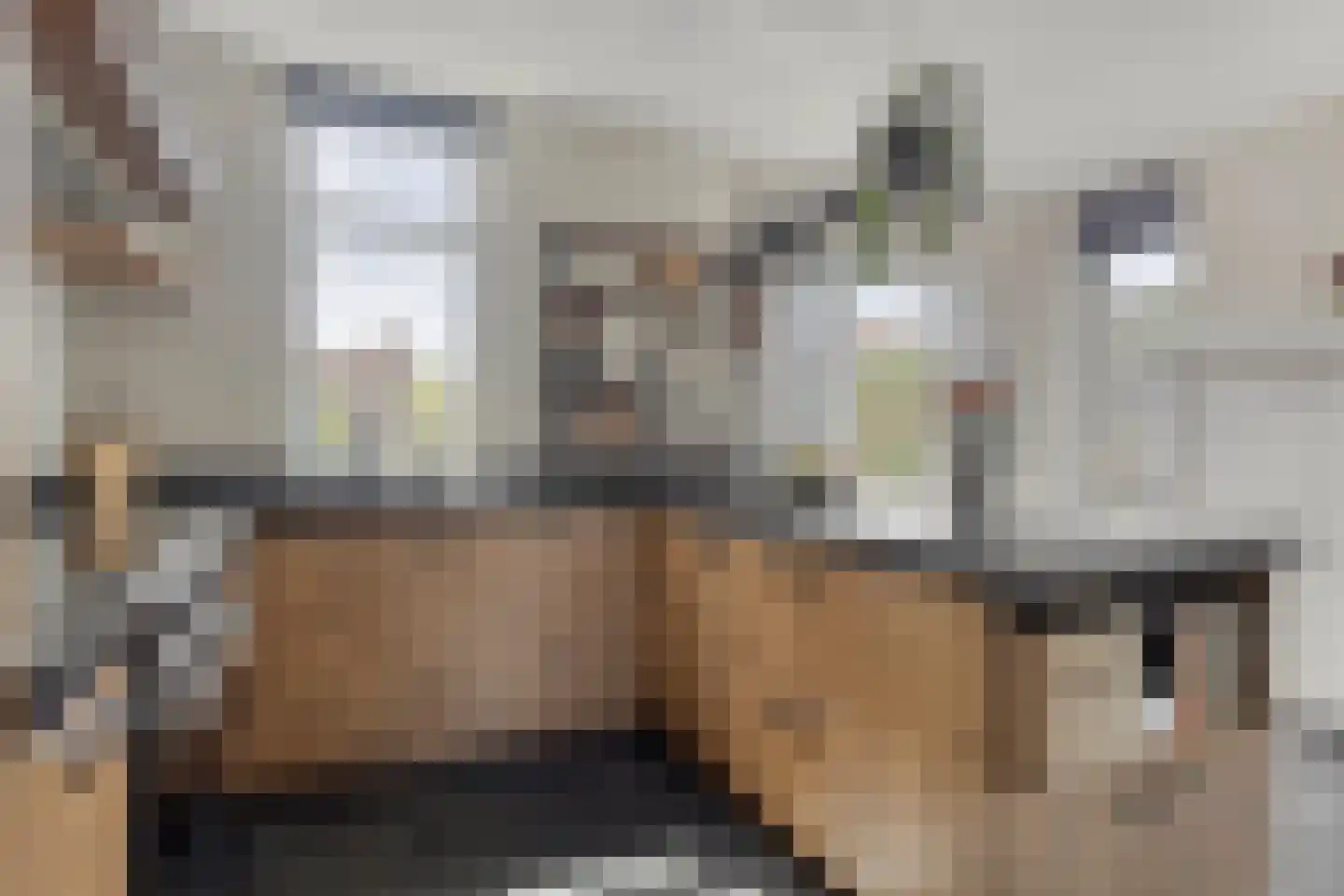 A de Koningstraat 8 Kwadendamme thumbnail 15