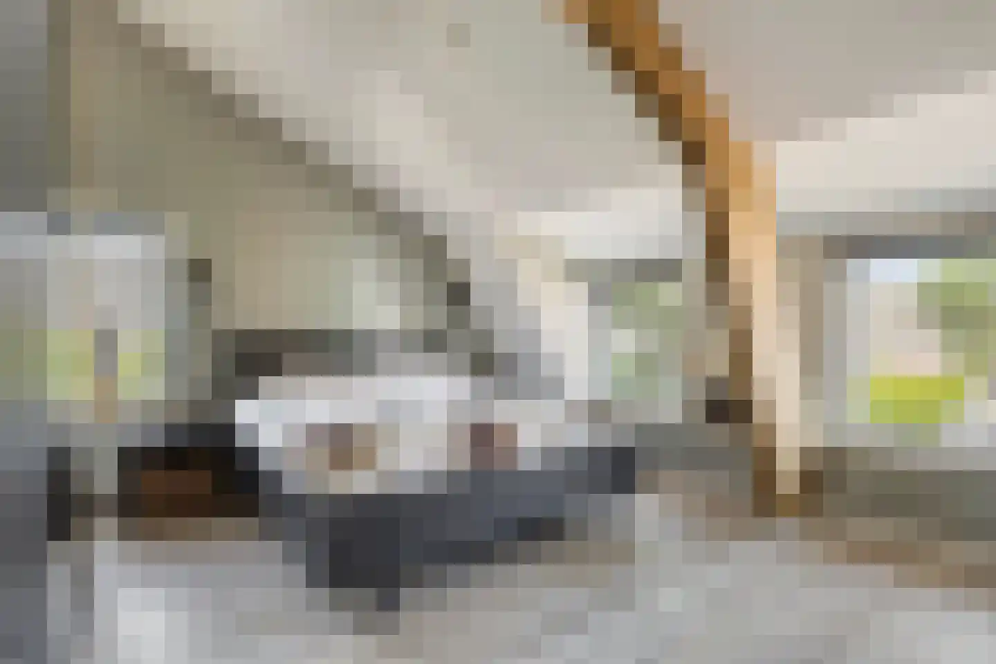 A de Koningstraat 8 Kwadendamme thumbnail 22