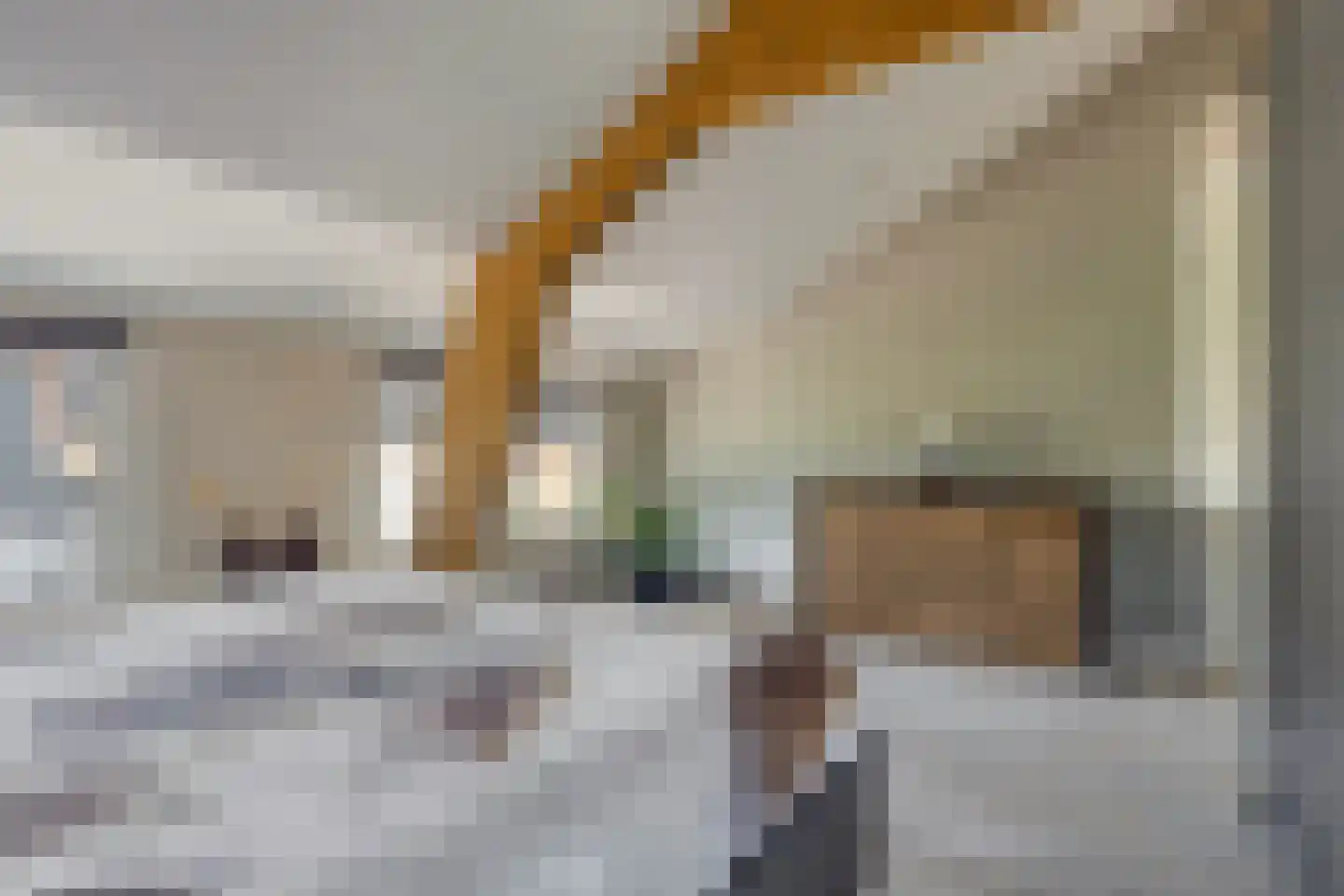 A de Koningstraat 8 Kwadendamme thumbnail 24