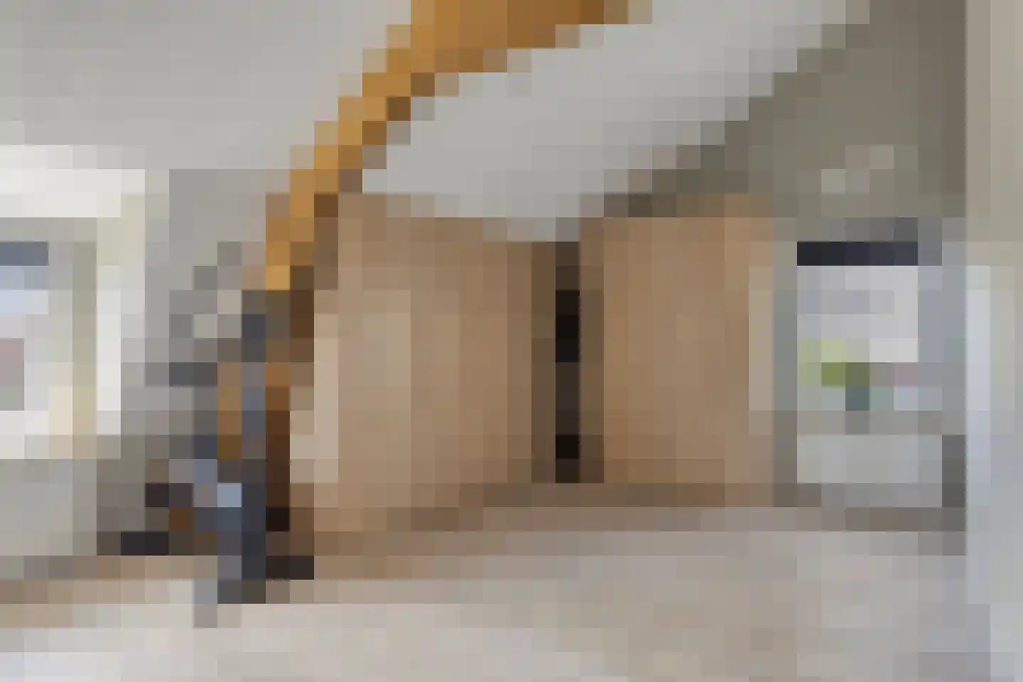 A de Koningstraat 8 Kwadendamme thumbnail 25