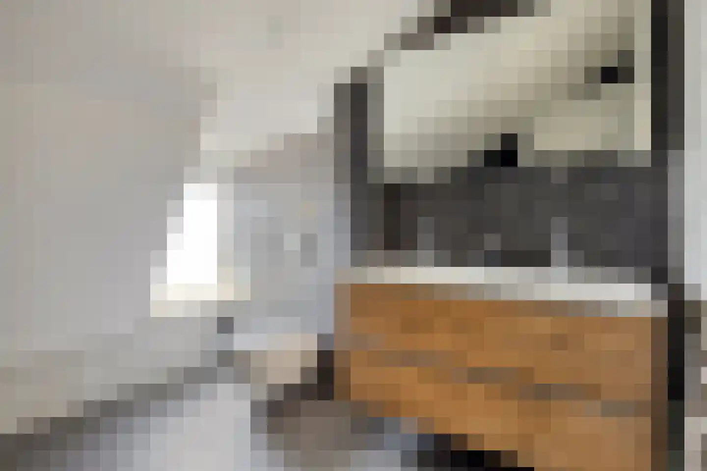 A de Koningstraat 8 Kwadendamme thumbnail 28