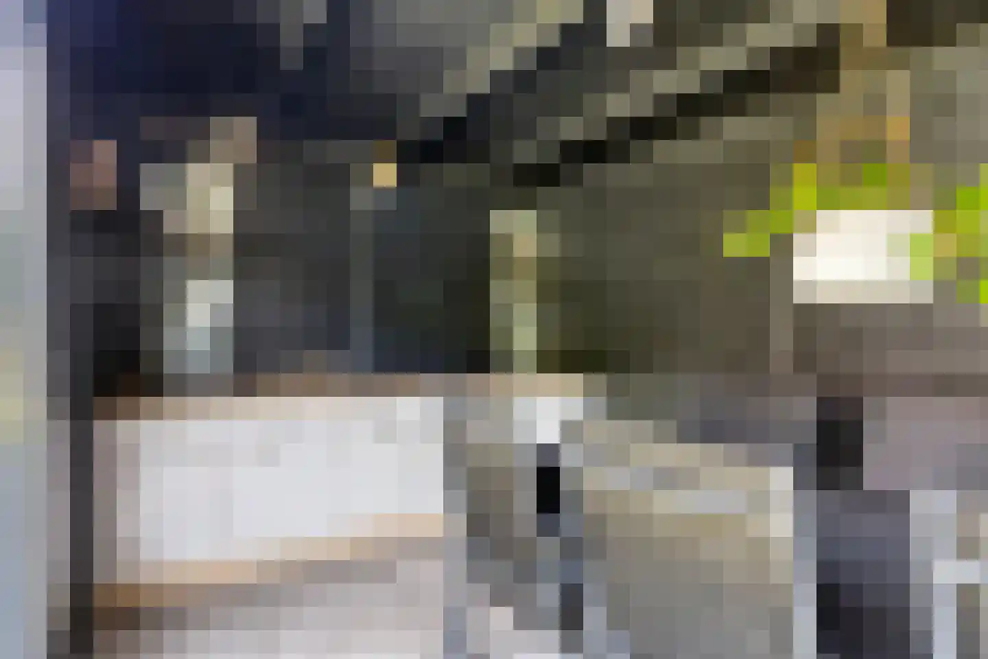 A de Koningstraat 8 Kwadendamme thumbnail 36