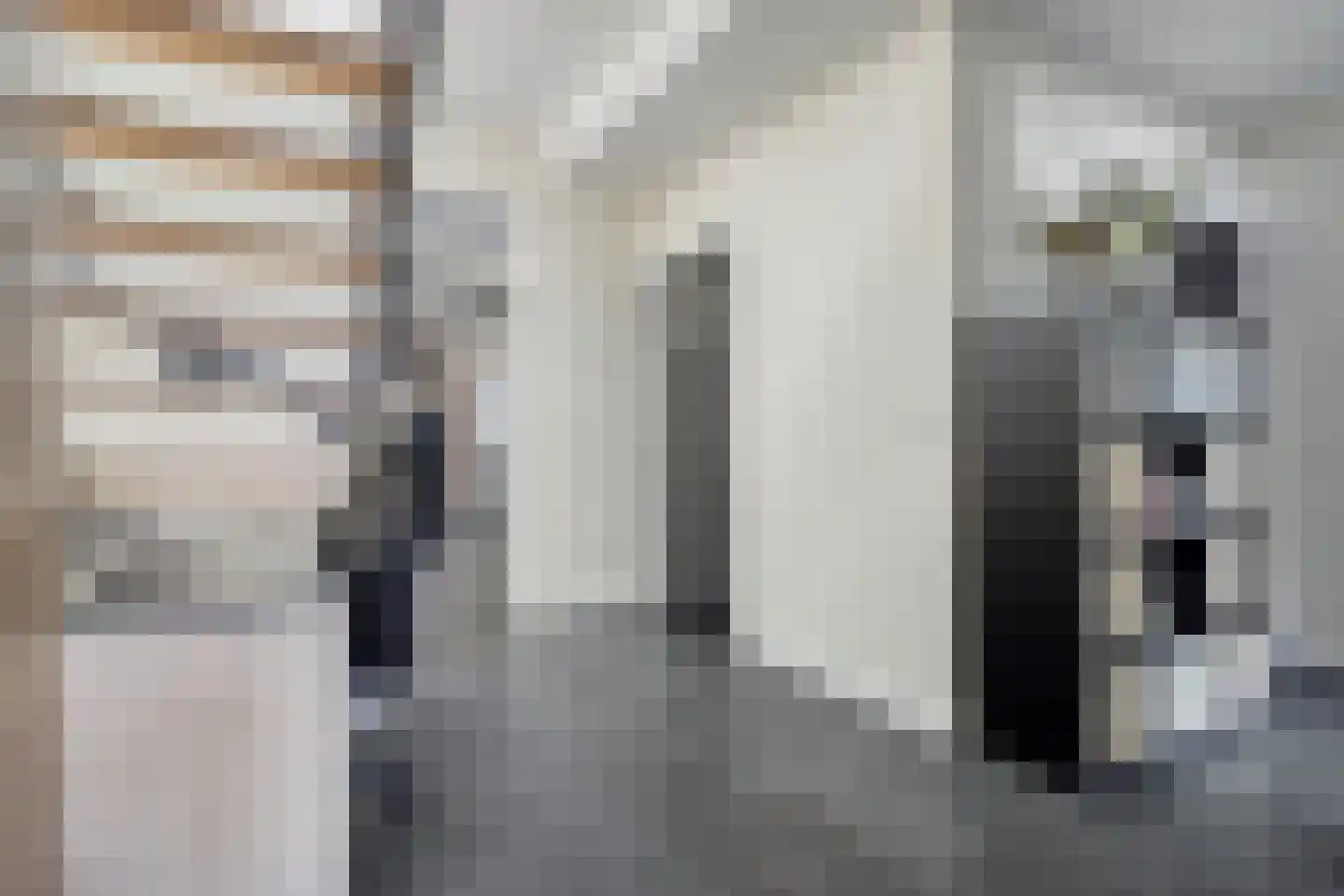 A de Koningstraat 8 Kwadendamme thumbnail 5