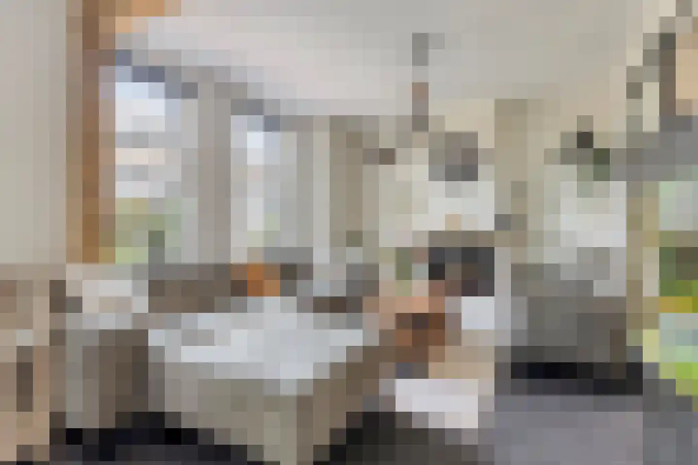 A de Koningstraat 8 Kwadendamme thumbnail 6